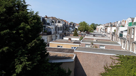 Groene daken - zo is het nu