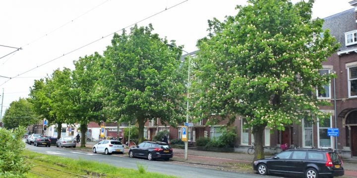 Stop de derdertram